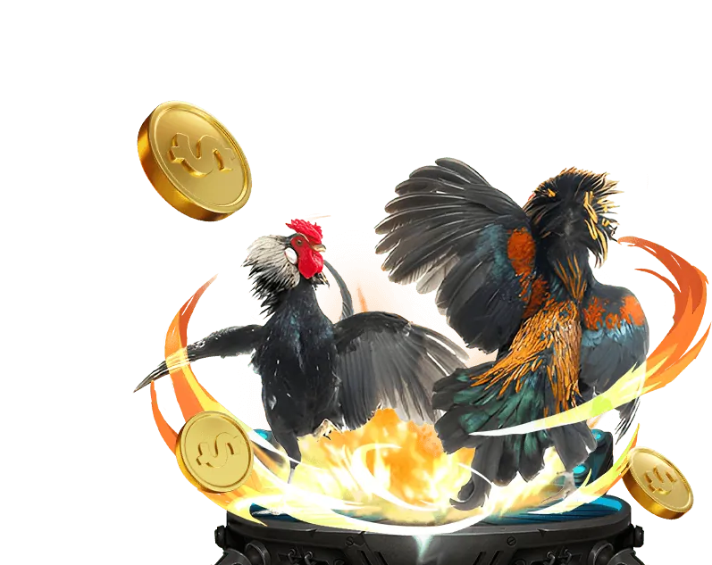 Kèo rung và cá cược trực tiếp