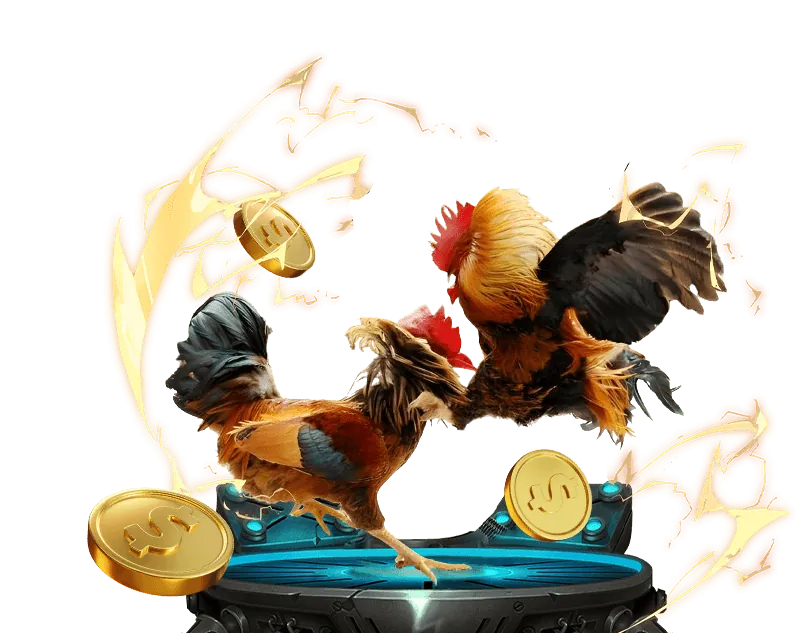 Minh họa các bước sử dụng công cụ tính tỷ lệ cược